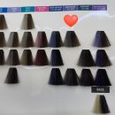 쿨헤어샵 | [헤어샵] 여의도염색전문 헤어오르블랑 여의도미용실...컬러 프리미엄염색 리얼후기 (feat.여름쿨라이트)