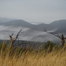 솔내음솔솔 이미지