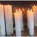 원당제일건강생활 | 원당점집 태화궁에서 신점 보고 이직까지 성공한 후기