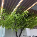 컴퓨터 기초 활용으로 스마트한 이용자 되기 | 반응형 웹디자인이란? 모바일 최적화의 기본 개념부터 안산 국비지원 교육까지 총정리