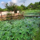 바람솔길펜션 이미지