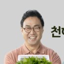 미용천하 네이버블로그