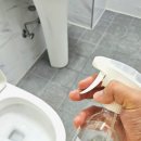 그린세탁나라 이미지