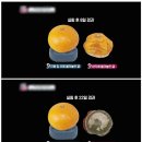 슈올즈 연신내점 | 슈올즈 가격 매장 엄마 사드린 한달 후기~~!