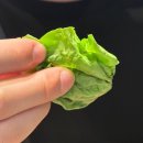 메가번 용인역북점 | 역북동 곱창 맛집 태양곱창 용인역북점 솔직후기｜퇴근 후 맥주 한잔하기 좋은 곳