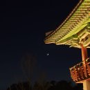 애견운동공원(동절기) | 구읍뱃터 오션뷰숙소 애견동반숙소 에어스카이호텔 조식후기 영종진공원 산책