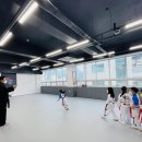 다오름태권도장 이미지