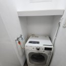 장미페인트