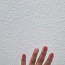 린네일앤페디
