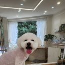 니니앤제리 네이버블로그