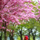 머리마을 이미지