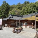 세라비 | 연천 대형카페 ㅣ 세라비 한옥카페 후기