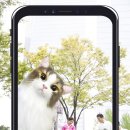 자이언트텔레콤 이미지