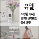 범계향수공방 유엘 안양점에서 이색데이트, 재방문 후기