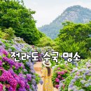 옥곡면 면민광장주변 | 전라도 전남광주 전북 수국 명소 총정리