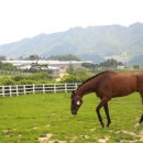 승용목장 이미지