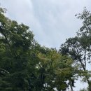 망성초등학교병설유치원 이미지