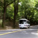 청남대 진입로 이미지