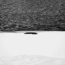 몽상가의정원 이미지