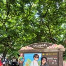 흥도초교 이미지