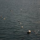 광안테마거리 이미지