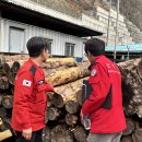 동해-단속-13 이미지