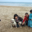 지웅농장 이미지