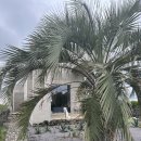 저지안트레 이미지