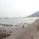 장흥군민회관 이미지