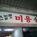 스칼렛미용실 - 군포시 번영로 333 | 스칼렛미용실