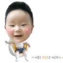 진생쿱 이미지