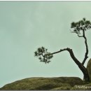 용봉산주차장 - 우 | 용(龍)의 몸집에 봉황(鳳凰)의 머리를 한 ~~ 용봉산(龍鳳山)에 올라