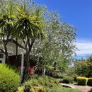 블루마운틴호텔 | 시드니 여행 블루마운틴 카툼바 숙소 추천 엔틱했던 ‘마운틴헤리티지호텔’