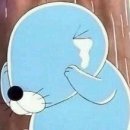 몽슈슈 강아지 이미지