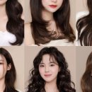 디머드헤어 이미지