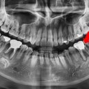 로이스서울치과의원 이미지