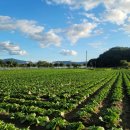 서면 자전거도로 이미지