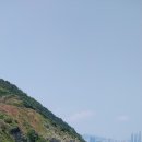 배츄밭