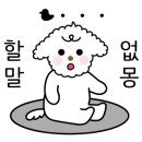 생생새우 이미지