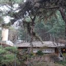 옛터식당 이미지