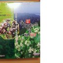 강화홍삼공사 이미지