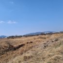 송산2교 이미지