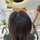 평택 새치염색 염색방 컬러앤하우스 내돈내산 후기