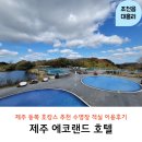 에코랜드 호텔 | 제주 동쪽 호캉스 추천 에코랜드 호텔 수영장 객실 후기