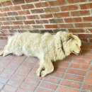 혜정농장 이미지