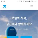 청신호 헤럴드경제