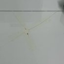 비비드풀빌라 이미지