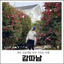 제주월드컵경기장 서귀포시실내암장 | 제주 감귤체험 추천 서귀포 카페 감따남