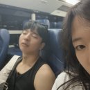 [이색 액티비티 추천] 한강에서 선셋 카약 체험 후기, 서울 수상레포츠센터 (with 헬리어드 카페, 한강...