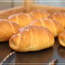 댕댕이 베이커리 이미지